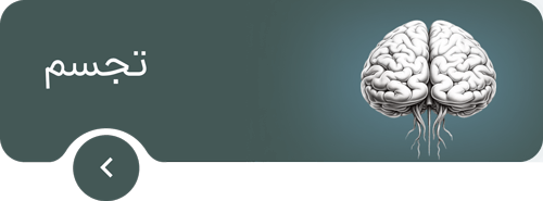 تجسم های ماهیت